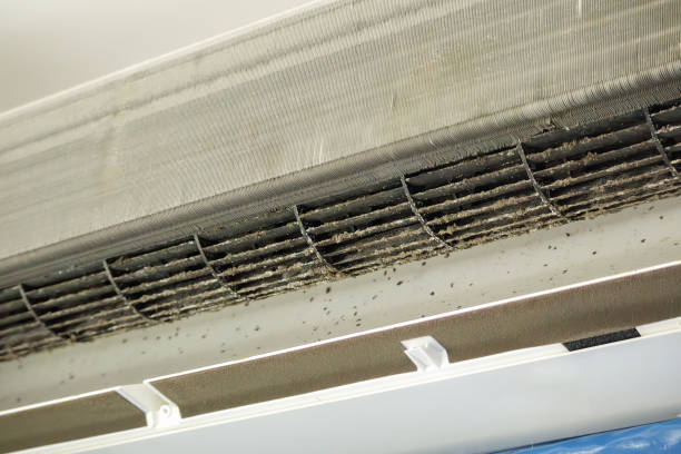 Best Ductwork Cleaning Services  in Puget Island, WA
